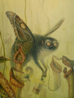 squidtree:   Martin Wittfooth 