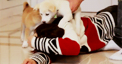 sjongs:  55/100 | Infinite’s Maknae Lee Sungjong (ft. Nurungie + Dubu)