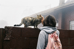 greyveins:  (via Untitled | Flickr - Photo Sharing!) 