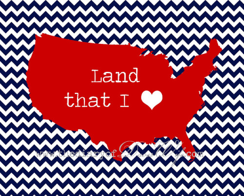 gatsbyinspired:  RED, white, & blue!  F'yeah