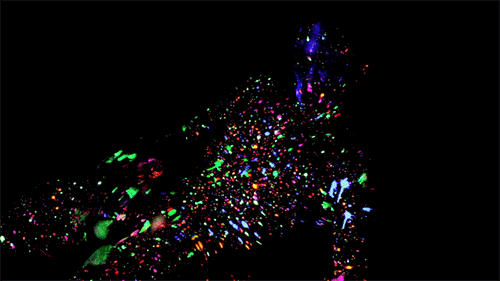 hoiphalloi:  bouncing balls and coloured lights 