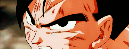 Tenkaichi Budokai