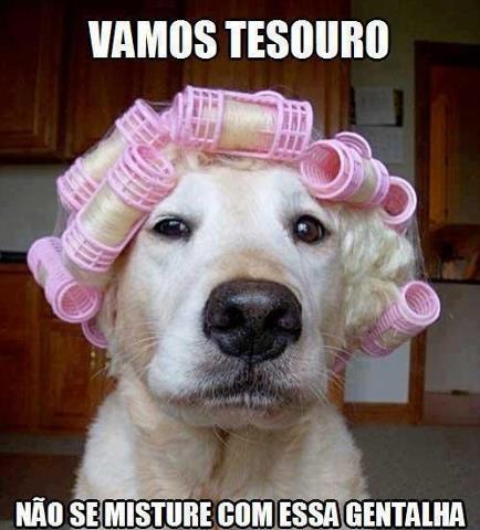 revelacoesdeumameninasonhadora.tumblr.com/post/28450806560/