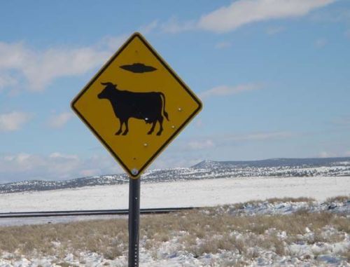  CUIDADO ABDUÇÃO DE VACAS! 