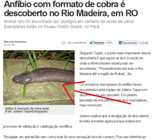 derpet:  wtf? kkkkkkkkkkkkkkkk