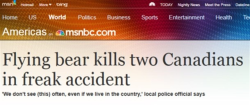 twinging:  shreks-in-the-city:  dayglohomo:  unwrappedcherrie:  OK Canadians, what’s up?  ‘WE DON’T SEE (THIS) OFTEN.’ OFTEN?! OFTEN?! A FLYING BEAR KILL TWO PEOPLE IN A FREAK ACCIDENT AND THIS ISN’T THE FIRST TIME YOU’VE SEEN IT?! a;djkf;aslkfj