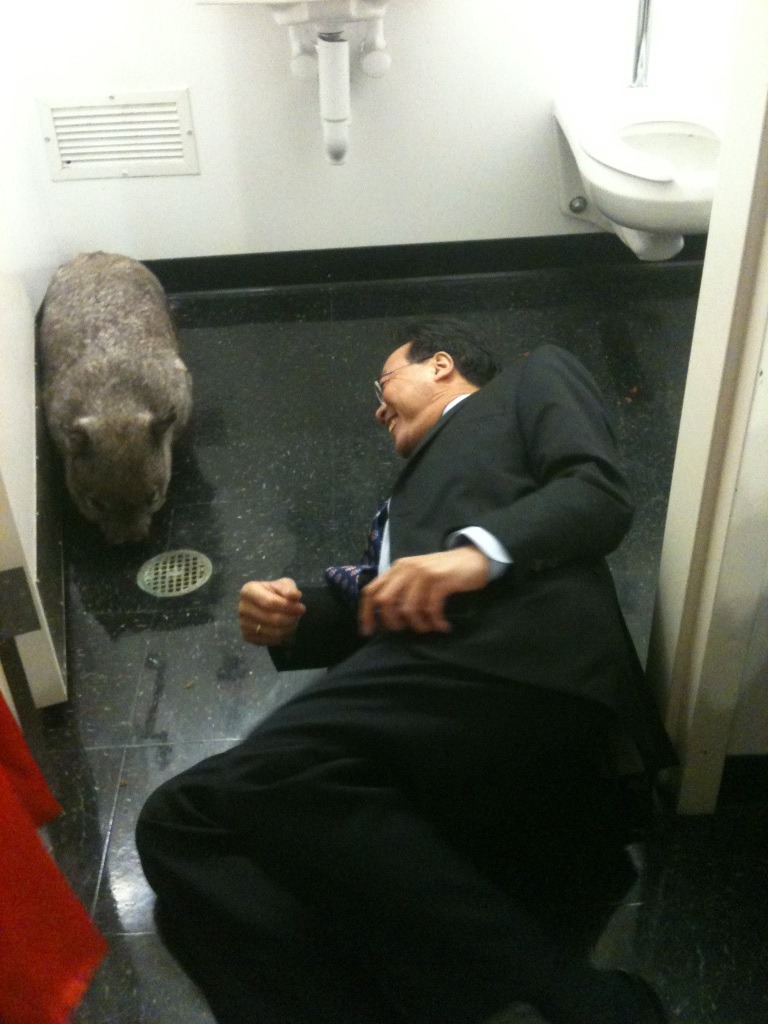relatableteenblogger:
“ in case you were having a bad day, here’s a picture of Yo-Yo Ma, the famous cellist, on the floor of a bathroom with a wombat
”