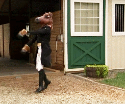 catbushandludicrous:   