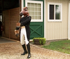 catbushandludicrous:   