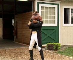 catbushandludicrous:   