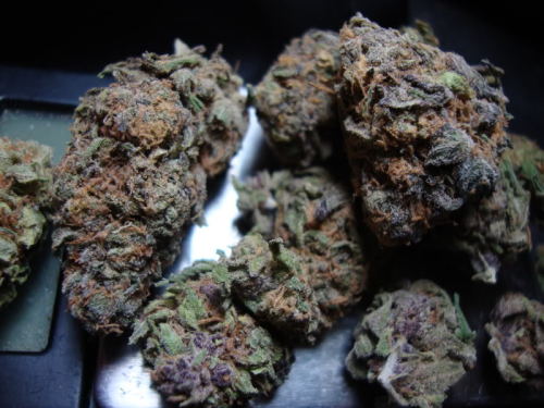 XXX smoke-weed-or-cry:  GDP.  photo