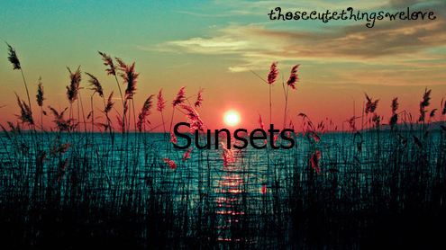thosecutethingswelove:  For luke brooks ;) 