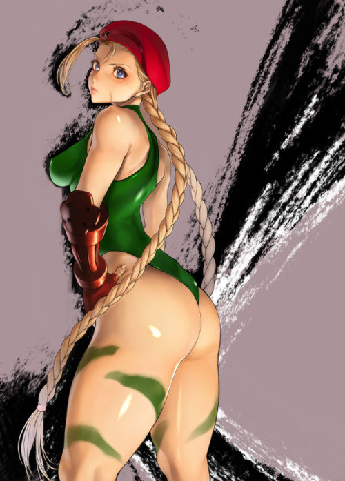 Sex nomedarisa:  Women of Street Fighter and pictures