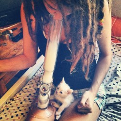 callmejean:  #wakeandbake with ze kittens. (Taken with Instagram) 