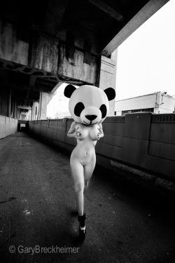 carolinaaquino:  Panda by Gary Breckheimer  