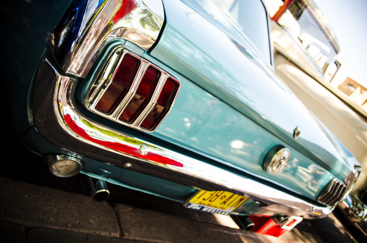 Ford Mustangs