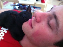 cuteboyswithcats:  naptime with zoe and anthony