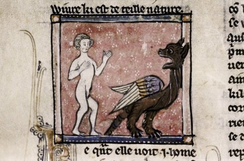 How to scare a wyvernRichard de Fournival, Bestiaire d’Amour, Lorraine 14th century.Bodleian, MS. Do