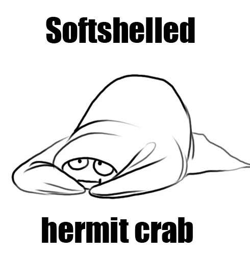 underneaththestarryskye:  steampoweredrocket:  Shyburrito.jpg  Inq, I’m flattered that you would draw a portrait of me, thank you. 
