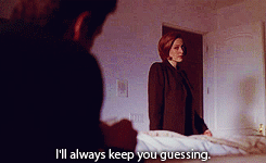 itsgeekgal:Mulder: No, the interesting thing about these agents is they had worked together for seve