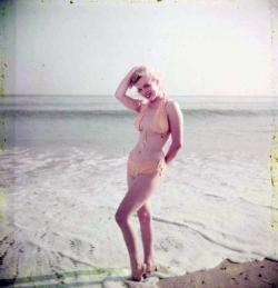 loutigergirl99:  Marilyn Monroe - bikini