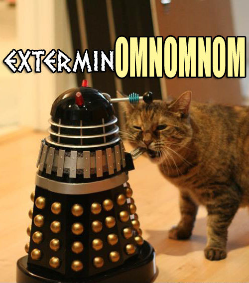 sheeny94:  Haha my cat fluffy would do that :) 