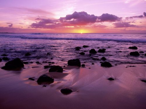 sunsets-and-paradise-dreams:wordd  Sunsets fascinate me, like wow.   worddd