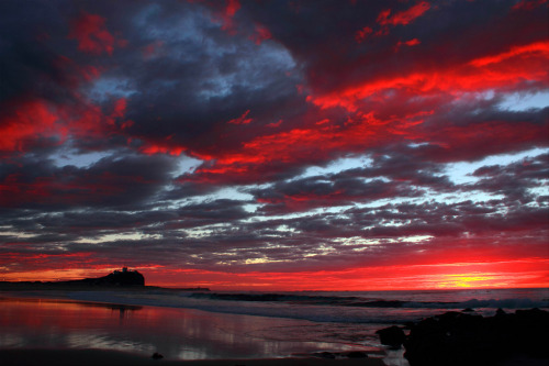 llbwwb:  nobbys beach (by xrayjets)