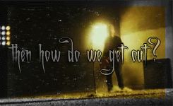 Rise Against gifs!