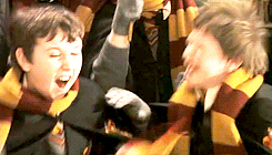   The Reactions Of Harry’s First Winning At Quidditch.  Poor Severus. You just