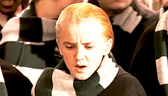  The Reactions Of Harry’s First Winning At Quidditch.  Poor Severus. You just