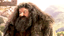   The Reactions Of Harry’s First Winning At Quidditch.  Poor Severus. You just
