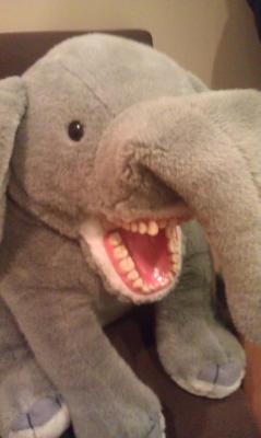 thelandofwtf:  My mother works in a dentist’s office… this is probably the scariest elephant stuffy I’ve ever seen. http://thelandofwtf.tumblr.com 