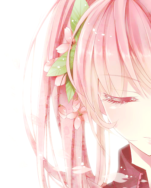 rimu:  桜ミク