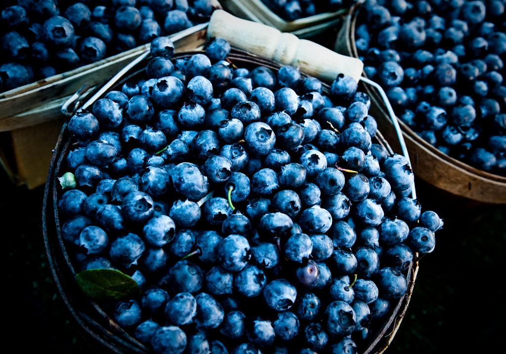 nuper:   Farmers Markets Fall in Michigan (by RichardDemingPhotography)  