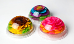 wetdirtandearth:  These are not glass paperweights. Introducing gelatinas, a fruit-flavoured gelatin floral dessert originating in Mexico. “They can’t believe the way we make them,”  says Rosario Gamboa, owner of the Canela Bakery in Gaithersburg,