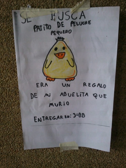 webiar-tipico-chileno:  queardatodo:  jaidefinichon:  :(  :(((((((((((  que tiernoooo:c 