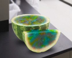   “By altering the structure of the carotenes and carotenoid pigments in the watermelon, the group was able to “reprogram” the watermelon’s genetic code to create a product with flesh in various hues based on a simple input in the first two weeks