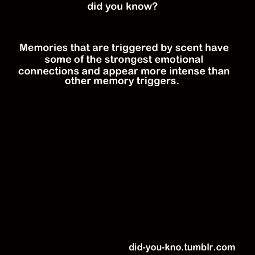 did-you-kno:  Source: MacDonald, Matthew. 2008. Your Brain: The Missing Manual.