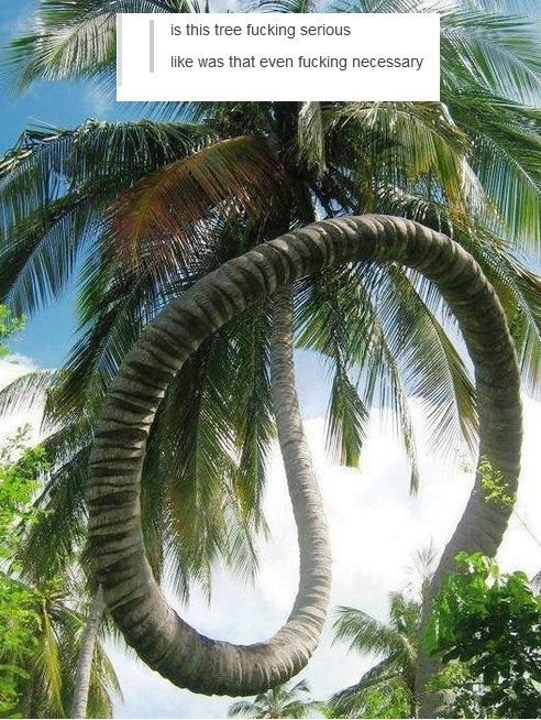 the-absolute-funniest-posts:  Follow this blog, you’ll love it on your dashboard!