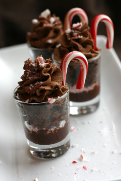 midwinterdream:  Chocolate Candy Cane Dessert