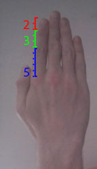 girlgoesgrrr:  SCIENCE BE PRAISED  the ratio between the size of one digit of one of your fingers and the next digit of the same finger is roughly Φ, the golden ratio. Their lengths line up in an approximate way with sequential fibonacci numbers, because