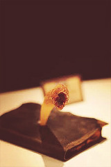 capsicles:  {THE MAGIC BEGINS} Favorite book ϟ