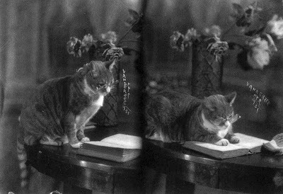 James VanDerZee and his Smart Cat, 1931
Years ago when I spoke to VanDerZee’s widow and told her how much I liked this photograph, she said, “Oh, that was one of Van’s favorites!”