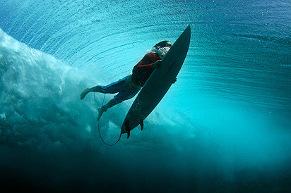 aquaticwonder:  The Down Under