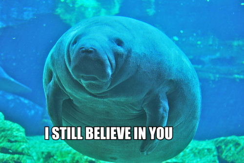 lillianjessica: calmingmanatee.com/ Not enough people know about this site.