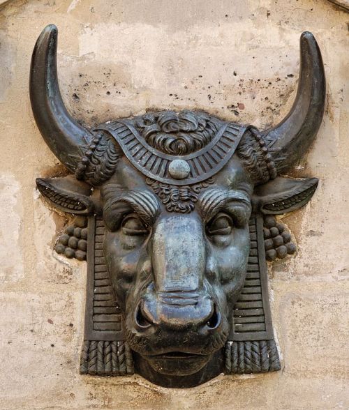 poisonwasthecure: Bull’s head Edme Gaulle ca. 1819 