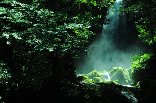 the-clockmakers-daughter:  harmonyhobbit:  July By hiro4.11  ༺ Can You Handle a Twisted Fairy Tale? 