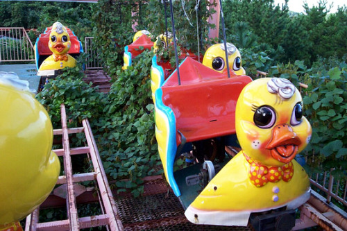 creepyabandonedplaces:  Okpo LandOkpo City, South Korea    The park was shut down in 1999 due to many mysterious fatal accidents in the park. The last fatal accident that occurred before the park was shut down was when a young girl tragically fell