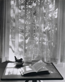I would read and actually WRITE letters all day there&hellip;lovely light!